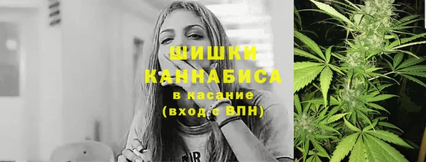 PSILOCYBIN Богородицк