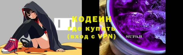 гашик Богородск