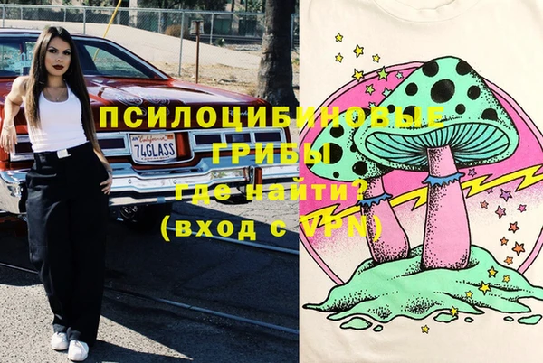 гашик Богородск