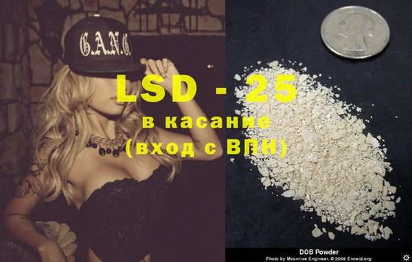 PSILOCYBIN Богородицк