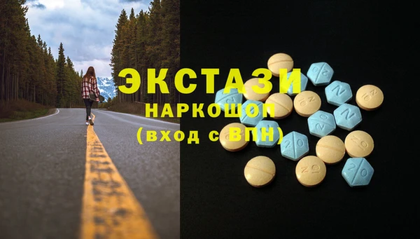 гашик Богородск