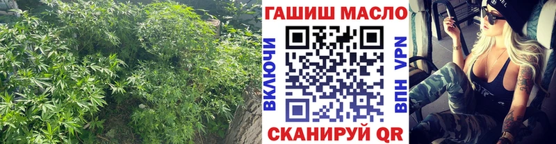 как найти закладки Нерчинск ТГК THC oil