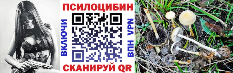Галлюциногенные грибы Psilocybine cubensis  Нерчинск 
